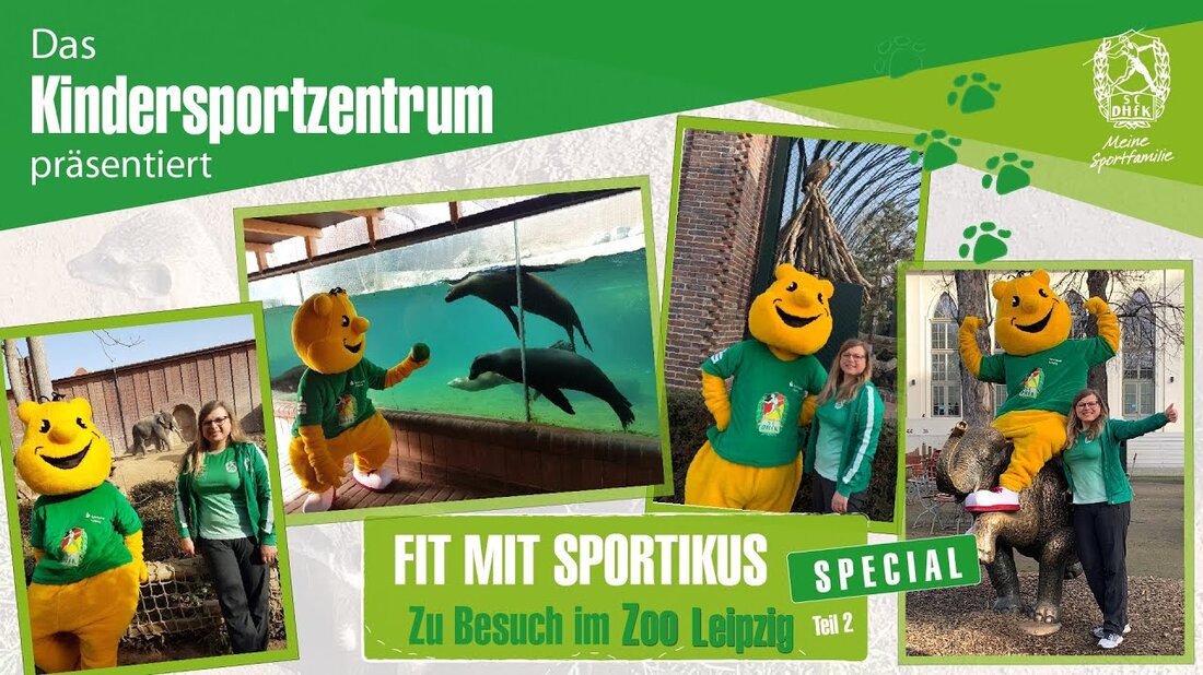 Zusammen mit dem Leipziger Zoo laden wir alle sportbegeisterten Kinder, die gerne Sport treiben und den Zoo und seine Tiere lieben und vermissen, zur zweiten Zoosportstunde ein! Sportikus und Julia setzen ihre Tour fort und treffen unter anderem Seelöwen, Tiger, Erdmännchen, Ziegen und Nashörner. Viel Spaß mit der tollen Sportstunde! #MeineSportfamilie #SCDHfKLeizig #ZooLeipzig #kindersport. Youtube-Link