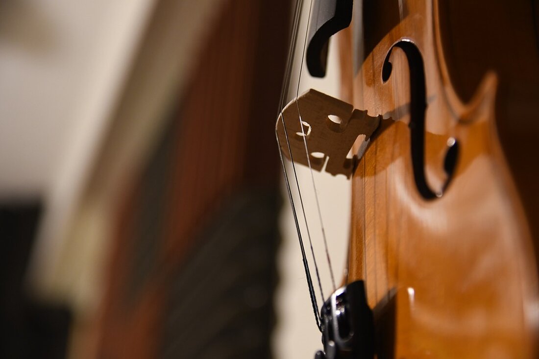 Ein Bratschen-Duo des SWR Sinfonieorchesters tourt vom 21.-24. Oktober 2024 durch soziale Einrichtungen im Bodenseekreis.