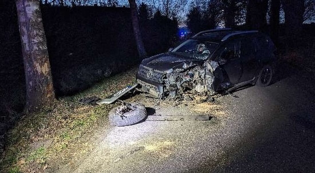 Körperverletzung nach Streit über Hundestreicheln, Verkehrsunfall mit Baum-Kollision und Flächenbrand zwischen Hellwege und Posthausen.