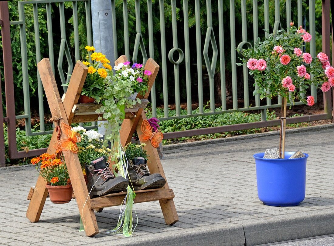 Entdecken Sie zwei spannende Naturworkshops im Stadtteilzentrum Kaulsdorf Kindercafé in Berlin. Lassen Sie sich von der zertifizierten Naturpädagogin Katharina Winkel kreativ begleiten und lernen Sie mehr über die Bedeutung von Bäumen und Pflanzen im Kampf gegen das Insektensterben. Workshop 1: Frau Holles Werkstatt am 26. Juli 2024. Workshop 2: Schnitzen und Schlemmen am 7. August 2024. Anmeldung erforderlich. Teilnahmegebühr: 1 Euro. Kontaktieren Sie uns für weitere Informationen.