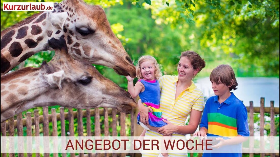 3-tägiger Familienkurztrip nach Leipzig mit Zoo & Gondwana Land 👉 bei uns für 75,90 Euro 👉 2 Nächte 👉 2 x reichhaltiges Frühstücksbuffet 👉 inkl. Tickets für Zoo & Gondwanaland 👉 inkl. Infomaterial, Broschüren & Stadtplan 👉 inkl. WLAN-Nutzung 👉 inklusive Hotelparkplatz 👉Zum Angebot: https://www.kurzurlaub.de/angebote/122944-sommerangebote-3-tage-leipzig-mit-zoo-und-gondwana-land-achat-comfort-messe-leipzig .html? partner_id = 93 Youtube-Link