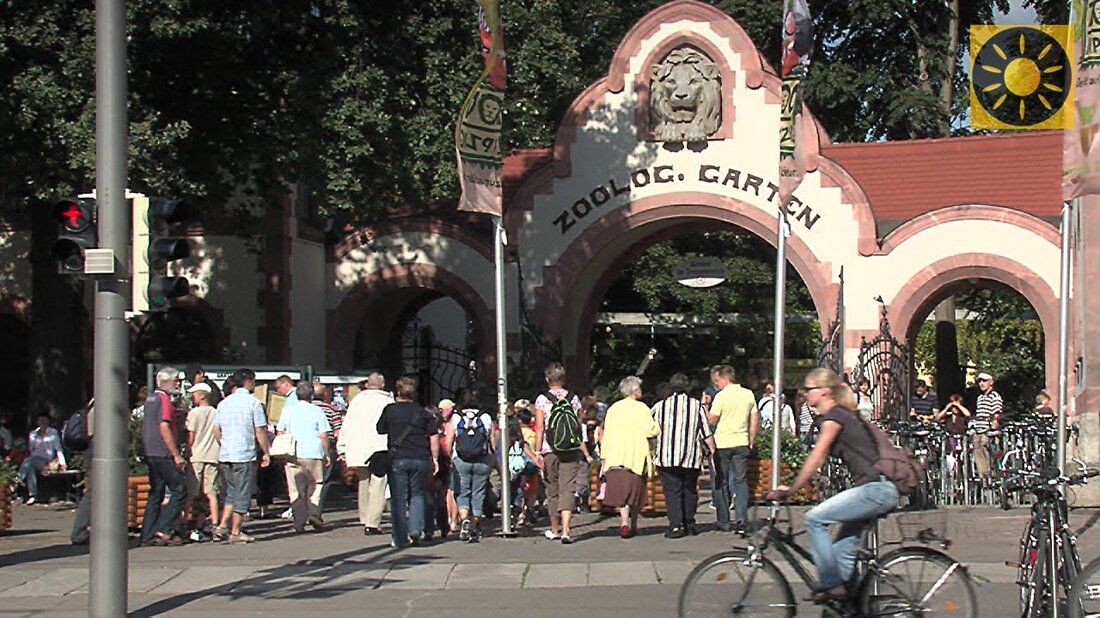 Leipzig in Sachsen – eine der traditionellsten Städte Deutschlands in REISEKINO – Urlaubsfernsehfilmporträt. Erleben Sie viele der Highlights der Bach- und Messestadt Leipzig als Inspiration für eine persönliche Besichtigungstour. In Teil 2 Entdeckungen im Leipziger Zoo, im Leipziger Gewandhaus, in der St. Thomas Kirche und vielem mehr. Eine REISEKINO-Filmproduktion für Reisekino.de – Urlaubswelt und REISEKINO – Urlaub TV http://www.reisekino.de Regie: Frank Flecks & Ralf Hermann Filmrechte: Reisekino Filmverlag Niesky Das Einbetten dieses Films für alle kommerziellen Zwecke ist nur mit ausdrücklicher Genehmigung gestattet schriftliche Genehmigung. . Youtube-Link