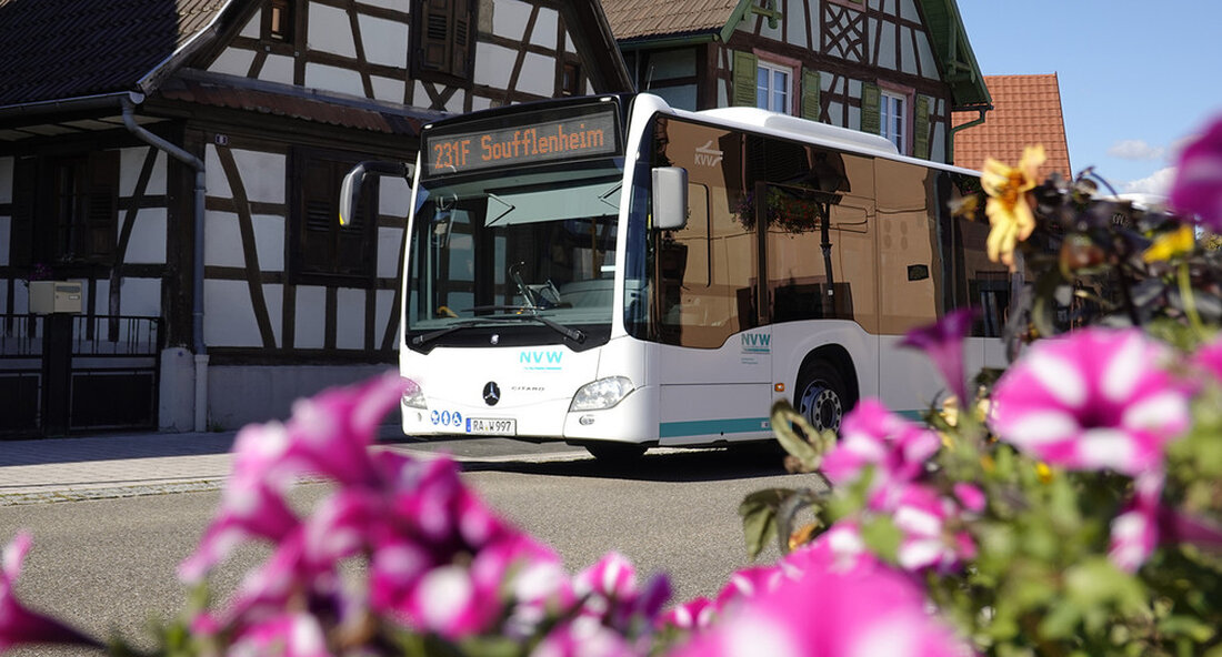 Das Land fördert eine grenzüberschreitende Buslinie zwischen Nordbaden und dem Nordelsass. Dabei wird die bestehende Buslinie 231 Rastatt-Ottersdorf-Wintersdorf nach Soufflenheim und Seltz verlängert. Damit können die Menschen in der Region schnell und zuverlässig zur Arbeit und zum Einkaufen ins Nachbarland gelangen. Die baden-württembergische Verkehrsstaatssekretärin Elke Zimmer sagte bei der Eröffnung am 12. Dezember 2022: „Mit dem grenzüberschreitenden Bus können die Menschen in der Region schnell und zuverlässig zur Arbeit und zum Einkaufen ins Nachbarland gelangen. Dies ist ein gutes Beispiel für konkrete Umsetzungen im Rahmen der „Partnerschafts-Konzeption Baden-Württemberg und Frankreich“ und des Mobilitätspakts Rastatt. Eine Beteiligung der Landesregierung an diesem …