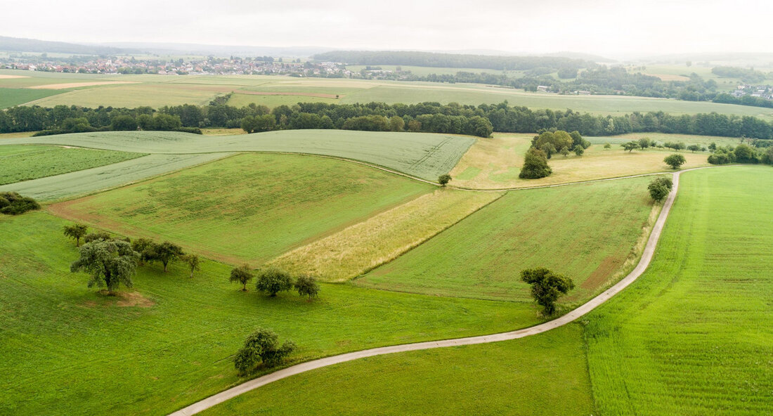 Auf der Herbst-Agrarministerkonferenz 2023 wurde über verschiedene Themen im Zusammenhang mit der Landwirtschaft beraten. Eines der Hauptanliegen war der Schutz von Weidetieren vor Übergriffen durch Wölfe. Insbesondere in Baden-Württemberg gab es vermehrt Wolfsangriffe auf Weidetiere, was ein schnelles und entschlossenes Handeln erfordert. Minister Hauk betonte, dass es nicht ausreicht, nur Maßnahmen für den Herdenschutz umzusetzen, da dies auf vielen Flächen, wie steilen Weiden im Schwarzwald, nicht möglich sei. Für Tierhalter mit großflächiger Bewirtschaftung sei der Aufbau von wolfsabweisenden Netzzäunen aufgrund der Weitläufigkeit und des hohen Transportgewichts kaum umsetzbar. Daher sei es wichtig, Wölfe, die mehrfach übergriffig werden, schnell und unbürokratisch …