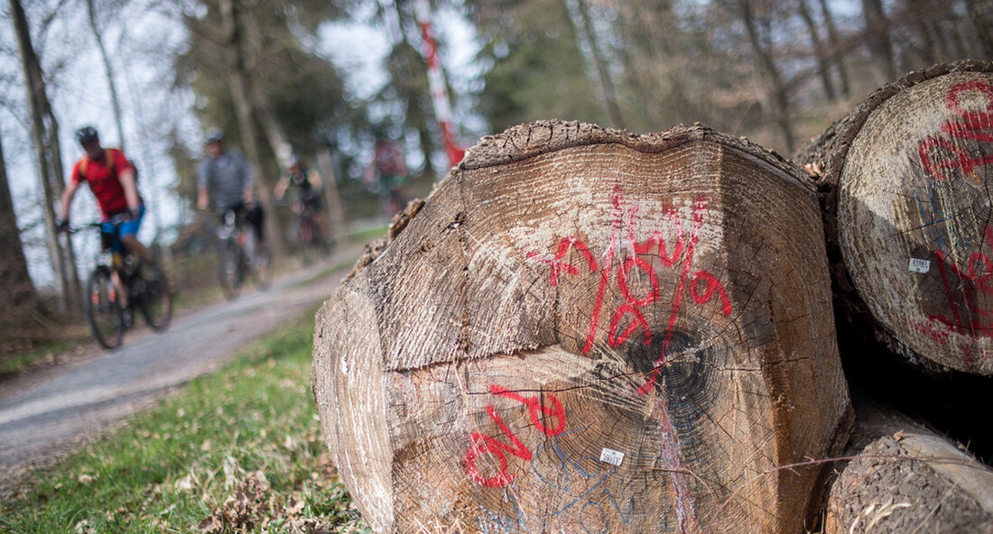 Die Menge an geschädigtem Holz in der Buchenart hat erheblich zugenommen. Infolge des Klimawandels nehmen Dürreschäden, Krankheiten und sterbende Bäume zu. „Unsere Wälder leiden stark unter den Folgen des Klimawandels. Waldbesitzer und Förster haben derzeit vor allem mit Dürreschäden an der Buche zu kämpfen, die sich in den letzten drei trockenen und heißen Jahren zunehmend bemerkbar machen „, sagte der Minister für ländliche Gebiete und Verbraucherschutz Peter Hauk. In diesem Jahr waren bereits Ende April rund 170.000 Kubikmeter beschädigtes Buchenholz gefällt worden, im vergangenen Jahr waren es rund 220.000 Kubikmeter. Besonders schwere Schäden wurden im nördlichen Teil des Rhein-Neckars, im …