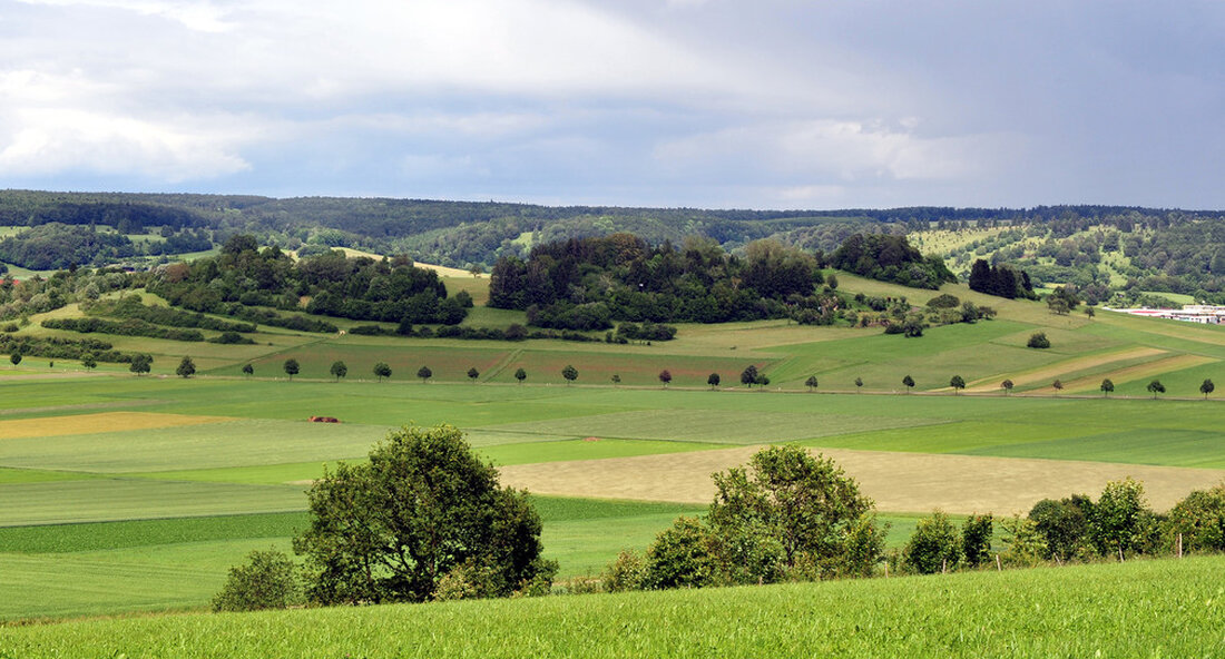Der Staat finanziert das Landkonsolidierungsverfahren Mudau-Scheidental mit 237.000 Euro. Die Flurbereinigung ist ein wichtiges Instrument zur Verbesserung der Lebens- und Arbeitsbedingungen in ländlichen Gebieten. „In dem Landkonsolidierungsverfahren Mudau-Scheidental leistet seit vielen Jahren einen wichtigen Beitrag zur Stärkung der ländlichen Gebiete. Dies ist vor allem auf das Engagement der lokalen Akteure zurückzuführen. Und wir freuen uns, dies mit den notwendigen Mitteln zu unterstützen „, sagte der Minister für ländliche Gebiete und Verbraucherschutz. Peter Haukbei der Übergabe einer Genehmigung für das Landkonsolidierungsverfahren Mudau-Scheidental. Naturschutz und Landschaftsmanagement Bei der Landkonsolidierung Mudau-Scheidental würden Straßenbaumaßnahmen und Maßnahmen zum Naturschutz und Landschaftsmanagement mit Mitteln in Höhe …