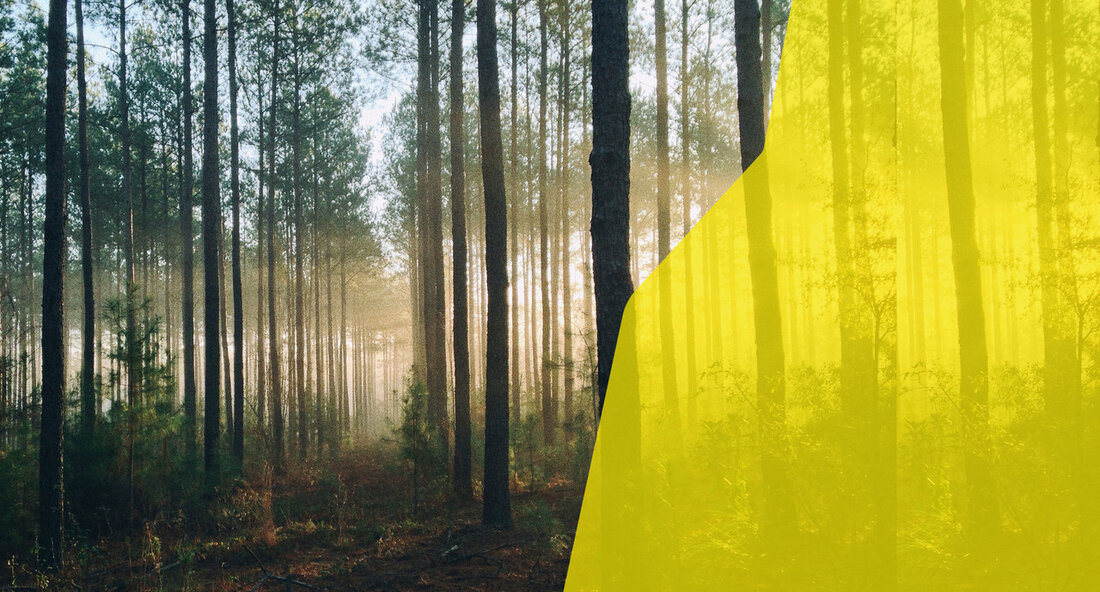 Land tritt der Initiative für verantwortungsvolle Investitionen bei: Ein Schritt in Richtung nachhaltiger Finanzpolitik Das Land hat sich offiziell der globalen Investoreninitiative Principles for Responsible Investment (PRI) angeschlossen. Mit diesem Schritt bekennt sich die Regierung dazu, Nachhaltigkeit als wesentlichen Bestandteil ihrer Investitionsprozesse zu integrieren. Die Initiative, die 2006 ins Leben gerufen wurde, zielt darauf ab, Unternehmen und Institutionen dazu zu bewegen, Umwelt-, Sozial- und Governance-Kriterien (ESG) in ihre Entscheidungen zu integrieren und somit zu einer nachhaltigen Entwicklung beizutragen. Die Entscheidung, der PRI beizutreten, unterstreicht die wachsende Bedeutung von verantwortungsvollem Investieren in der heutigen Wirtschaft. Investoren sind zunehmend gefordert, nicht nur …