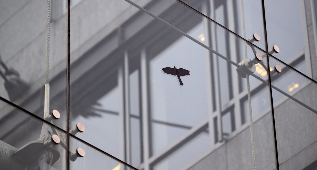 Der Landesbeirat für Tierschutz appelliert an die Baubranche, an Architekten, Bauherren und Hausbesitzer zu vogelfreundlichem Bauen. Die Kollision mit Glasscheiben ist eine der häufigsten Todesarten von Vögeln im Siedlungsraum. Ein aktueller Leitfaden bietet dazu hilfreiche Informationen. In seiner aktuellen Sitzung hat der Landesbeirat für Tierschutz erneut darauf hingewiesen, dass der Schutz wildlebender Vögel vor dem sogenannten Vogelschlag (Anfliegen gegen Glasflächen von Gebäuden) ein wichtiges Anliegen ist. Die Kollision mit Glasscheiben ist eine der häufigsten Todesarten von Vögeln im Siedlungsraum. Nach einer Studie aus dem Jahr 2017 verunglücken so jährlich schätzungsweise über 100 bis 115 Millionen Vögel allein in Deutschland. Darunter …