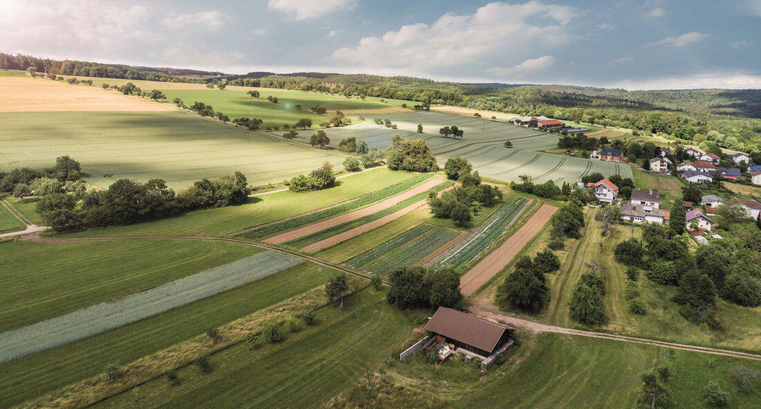 Auszahlungen für landwirtschaftliche Förderungen und Ausgleichsleistungen angelaufen Die Auszahlungen der landwirtschaftlichen Förder- und Ausgleichsleistungen für das Jahr 2023 wurden eingeleitet. Bis Ende Dezember sollen 90 Prozent der Anträge auf Direktzahlungen der Europäischen Union in Baden-Württemberg bearbeitet sein. Die erste Auszahlung erfolgt Mitte Dezember für die Ausgleichszulage für benachteiligte Gebiete, die Steillagenförderung für Grünland und den Erschwernisausgleich Pflanzenschutz. Die restlichen Direktzahlungen sollen planmäßig Ende Dezember auf die Konten der landwirtschaftlichen Unternehmen fließen. Minister für Ernährung, Ländlichen Raum und Verbraucherschutz, Peter Hauk, betonte die große Herausforderung, termingerecht auszuzahlen. Die kurze Vorlaufzeit für die Umsetzung der Vorgaben der neuen Gemeinsamen Agrarpolitik (GAP) stelle …