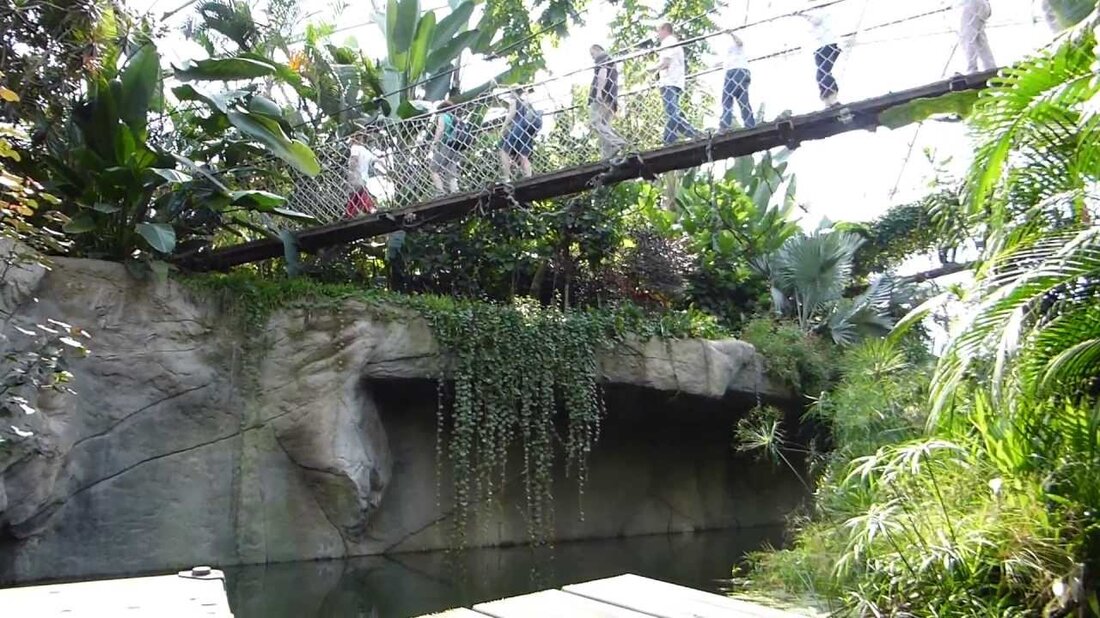 Besuch des Leipziger Zoos am 22. Juni 2013. Ein Highlight war der Besuch des Gondwanalandes mit einer Bootsfahrt. . Youtube-Link