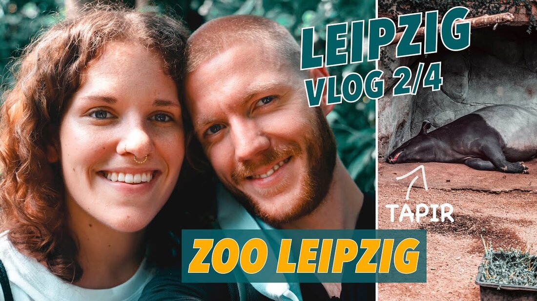 Abonnieren Sie unseren Kanal ? Danke Machen Sie mit uns eine Tour durch den Leipziger Zoo im zweiten Leipziger Vlog. Deutschlands schönster Zoo! Wir besuchen das Gondwanaland, das sich eindrucksvoll unter einer riesigen Kuppel befindet, spazieren durch die wunderschön gestalteten Einrichtungen auf den verschiedenen Kontinenten Pongoland und fragen uns, warum es in Corona keine Schutzmaßnahmen mehr gibt, wenn die Anzahl der Fälle zunimmt. Ein wirklich großartiger Zoo, der versucht, so „artengerecht“ wie möglich zu sein. Dies funktioniert unserer Meinung nach nur in begrenztem Umfang bei den Elefanten. Am Ende muss jeder selbst entscheiden, ob ein Zoo im traditionellen Sinne noch …