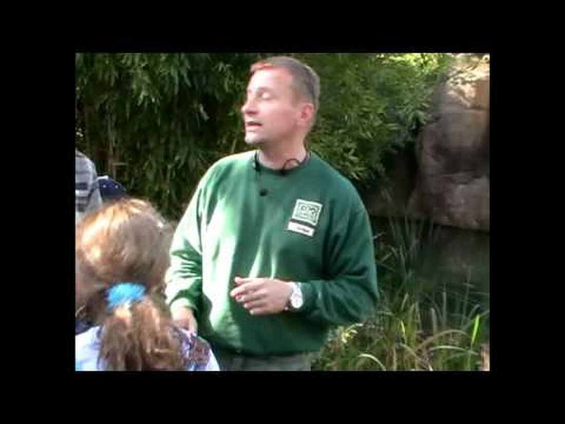Jörg Gräser kommentiert &#8222;seine&#8220; Löwen im Leopziger Zoo! . Youtube-Link