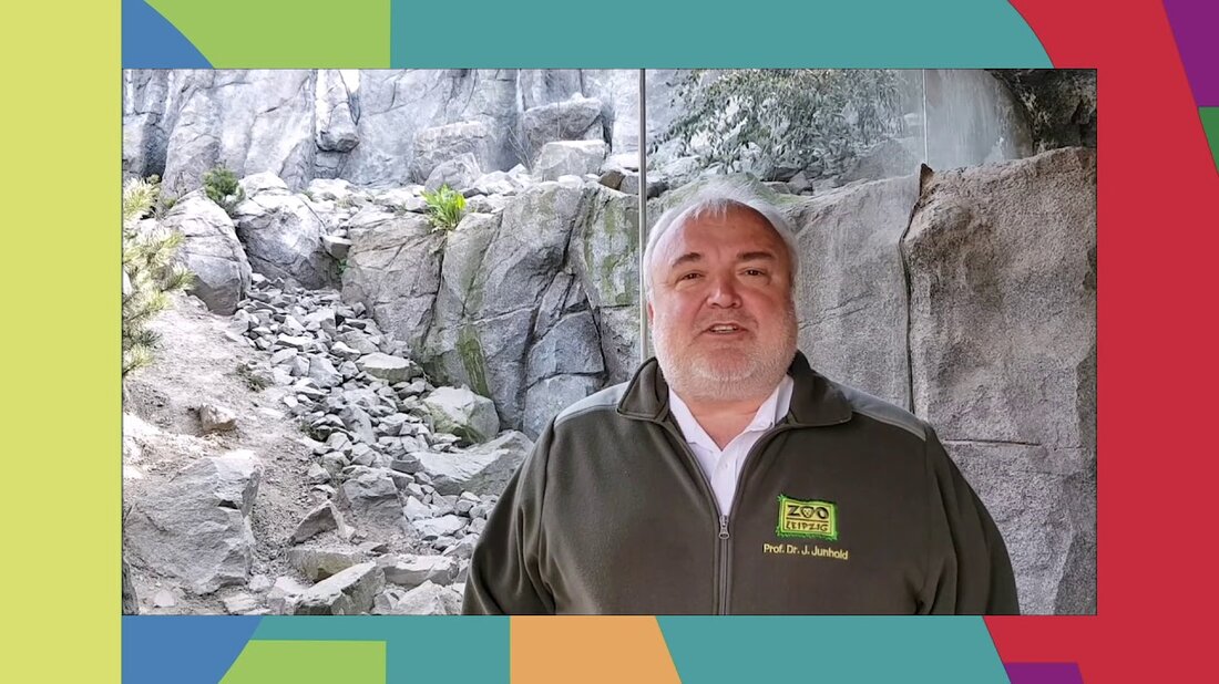 Seit dem 4. Mai 2020 hat der Leipziger Zoo nach mehr als sechs Wochen seine Tore für Sie wieder geöffnet. Wie Sie den Zoo über einen Besuch hinaus unterstützen können, erklärt Ihnen Zoodirektor Prof. Dr. Junhold in diesem Beitrag. Haben Sie eine Idee für Ihren eigenen Beitrag? Dann ab zur Kamera und weiterleiten an: mitmachen@kinderstadt-halle.de (zum Beispiel über WeTranfer) Wir freuen uns auf Ihre Einsendungen! #kinderstadthalle # kinderstadt2020 #kindestadtmagazin #buehnenhalle #neuestheaterhalle #thaliatheaterhalle #WirBleibenZuhause #tiere #zoo #zooleipzig #artenschutz Folgen Sie uns auf: ▶ FACEBOOK: https://www.facebook.com/kinderstadt.halle/: INSTAG: www.instagram.com/kinderstadt_magazin/ ▶ YOUTUBE: https://www.youtube.com/user/allesbligga/ ************************* ************** Weitere Informationen zu den Aktivitäten und Angeboten der Kinderstadt …