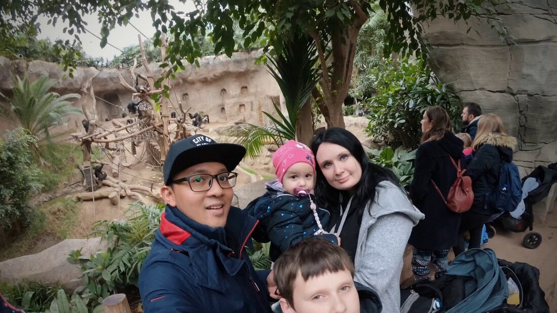Eines Tages herumlaufen im Leipziger Zoo, Leipzig, Deutschland. Youtube-Link