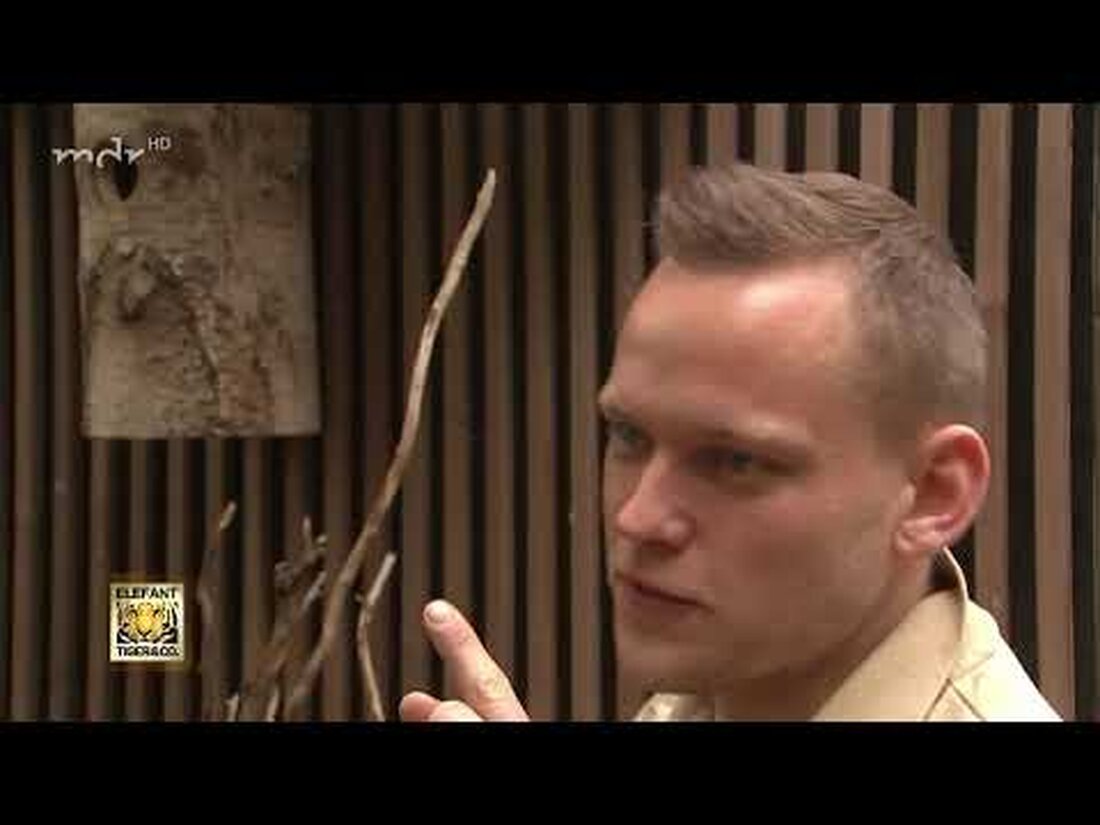 Es ist Frühling – und 70 Wellensittiche im Zoo Leipzig kümmern sich fleißig um ihren Nachwuchs. Florian Rimpler checkt ihre Inkubatoren und hat besonders den mit der Nummer A3 im Blick. Bevor die Wellensittiche an die frische Luft durften, hatte sich dort bereits ein Paar Wildmeisen niedergelassen. Aber ob die kleinen Hausbesetzer auf Dauer von den Wellensittichen, den Besitzern der Voliere, geduldet werden? . Youtube-Link