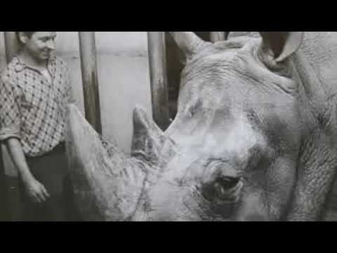 Als Kneipenbesitzer muss man sich etwas einfallen lassen, um Gäste anzulocken. Ernst Pinkert eröffnete in Leipzig einen zoologischen Garten, ein Kalenderblatt von Hartmut Schade Youtube-Link