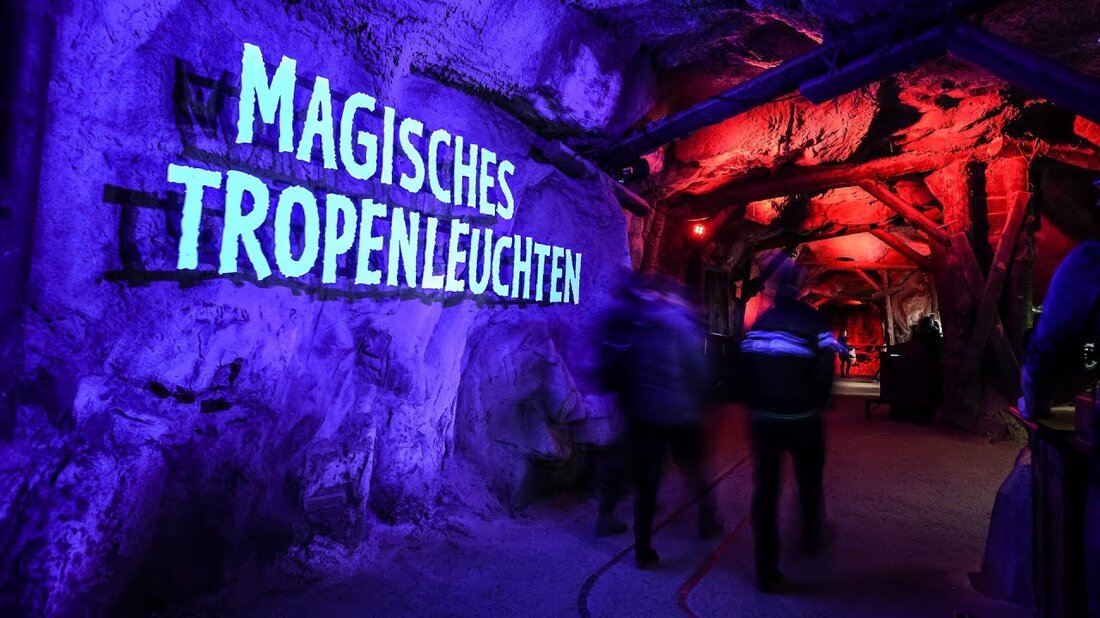 Das einzigartige Lichterfest bei 26 ° C vom 10. Januar bis 3. Februar 2019, jeden Donnerstag bis Sonntag von 17 bis 22 Uhr. Magisches Leuchten und eine einzigartige Atmosphäre: Die tropische Abenteuerwelt von Gondwanaland erstrahlt wieder in einem faszinierenden Licht. Lassen Sie sich bei Einbruch der Dunkelheit von leuchtenden Wesen, rhythmischen Klängen und farbenfrohen Lichtern verzaubern und erleben Sie eine unvergleichliche Atmosphäre im größten Dschungel Deutschlands. Sommerliche 26 ° C, kulinarische Highlights und aufregende Künstler entführen Sie in eine magische Welt. Alle Informationen unter: www.zoo-leipzig.de/tropenuchten Zoo Leipzig GmbH Pfaffendorfer Str. 29 04105 Leipzig Telefon: 0341 5933-500 Fax: 0341 5933-303 E-Mail: …