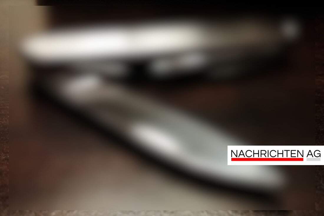 Mann bedroht Reisenden am Hauptbahnhof Mainz mit Messer, geht anschließend aggressiv auf Bundespolizisten los. Vier Verletzte.