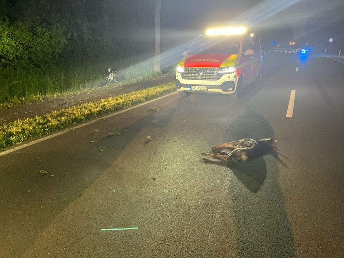 Ein Motorradfahrer kollidierte am 12.05.25 auf der B235 bei Olfen mit einem Reh. Der Mann wurde verletzt ins Krankenhaus gebracht.