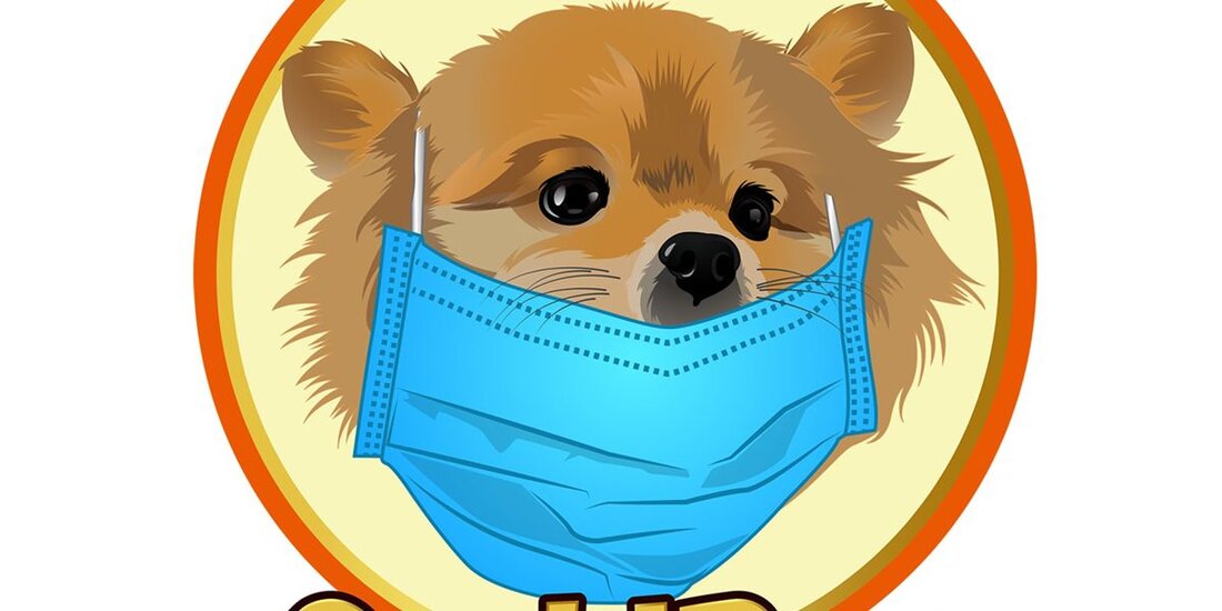 CovidDog oder ‚cDOG‘, wie ihr Token heißt, sieht aus wie der neue Welpe auf dem Crypto-Block. Sie sind ein Start-up, dessen Geburtstag erst vor wenigen Wochen war. Sie sparen bereits über 6000 US-Dollar an „Kryptosteuer“ und haben gerade ihre erste bedeutende Spende an einen Major geleistet Dog Charity im Vereinigten Königreich – Hunde auf den Straßen. CovidDog ist eine auf Wohltätigkeitsorganisationen basierende Kryptowährung mit Eigenschaften zur automatischen Ertragsgenerierung und einer automatischen Wohltätigkeitsfunktion. In Nicht-Krypto-Begriffen bedeutet dies, dass cDOG jede Transaktion mit ihrem Kryptowährungstoken um 2% besteuert. Innerhalb dieser Steuer wird 1% an die Inhaber ihres Tokens zurückgegeben (was ein passives …