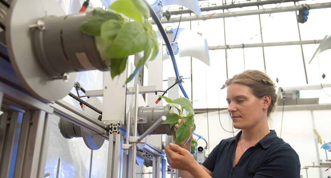 Das Wissenschaftsministerium fördert sechs nachhaltige Forschungsprojekte an Hochschulen für Angewandte Wissenschaften Das Wissenschaftsministerium hat ein neues Förderprogramm ins Leben gerufen, um sechs Projekte an Hochschulen für Angewandte Wissenschaften zu unterstützen, die sich mit angewandter Nachhaltigkeitsforschung beschäftigen. Jeder Verbund kann eine Förderung von bis zu 2,4 Millionen Euro erhalten, um innovative Lösungen im Bereich der Nachhaltigkeit zu erforschen und zu entwickeln. Die geförderten Projekte umfassen verschiedene Themenbereiche, darunter die Verwertung umweltfreundlicher und regionaler Lebensmittel, die Erzeugung und Nutzung von grünem Wasserstoff, die Reduzierung von CO2-Emissionen im Bauwesen, die Integration seltener Rohstoffe in die Kreislaufwirtschaft, das Recycling von hochbeanspruchten Kunststoffen in Sportanlagen …