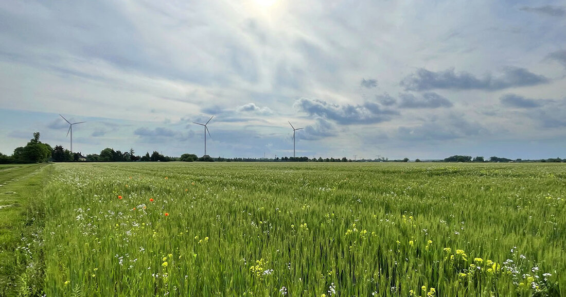Neues Landwirtschaftskonzept für mehr Bio-Produktion in Leipzig Bei der Verpachtung städtischer Landwirtschaftsflächen sollen ökologisch-nachhaltige Produktionsweisen und regionale Vertriebsstrukturen künftig bevorzugt berücksichtigt werden. Ziel ist, dass sich der Anteil der Öko-Landwirtschaft in Leipzig künftig erhöht und Produkte stärker regional vermarktet werden. © Stadt Leipzig Dies geht aus dem neuen Landwirtschaftskonzept hervor, das Oberbürgermeister Burkhard Jung jetzt auf Vorschlag von Baubürgermeister Thomas Dienberg auf den Weg gebracht hat. Hintergrund ist, dass in Deutschland bis zum Jahr 2030 etwa 30 Prozent der landwirtschaftlichen Flächen biologisch bewirtschaftet werden sollen. Der Stadtrat entscheidet abschließend über das Konzept. Verpachtung nach Höchstgebot künftig ausgeschlossen Von den knapp &hellip;