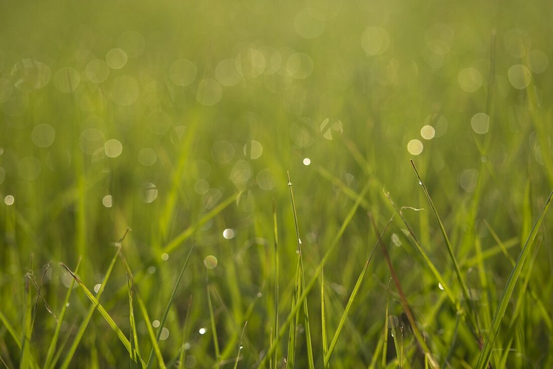 Das Straßen- und Grünflächenamt plant die Neugestaltung der Grün- und Freiflächen in Friedrichshain-Kreuzberg, um den Bezirk klimaresilient zu machen und vielseitig nutzbare Grünflächen zu schaffen. Erfahren Sie mehr über den Realisierungswettbewerb und die prämierten Entwürfe. Umsetzung startet voraussichtlich 2025.