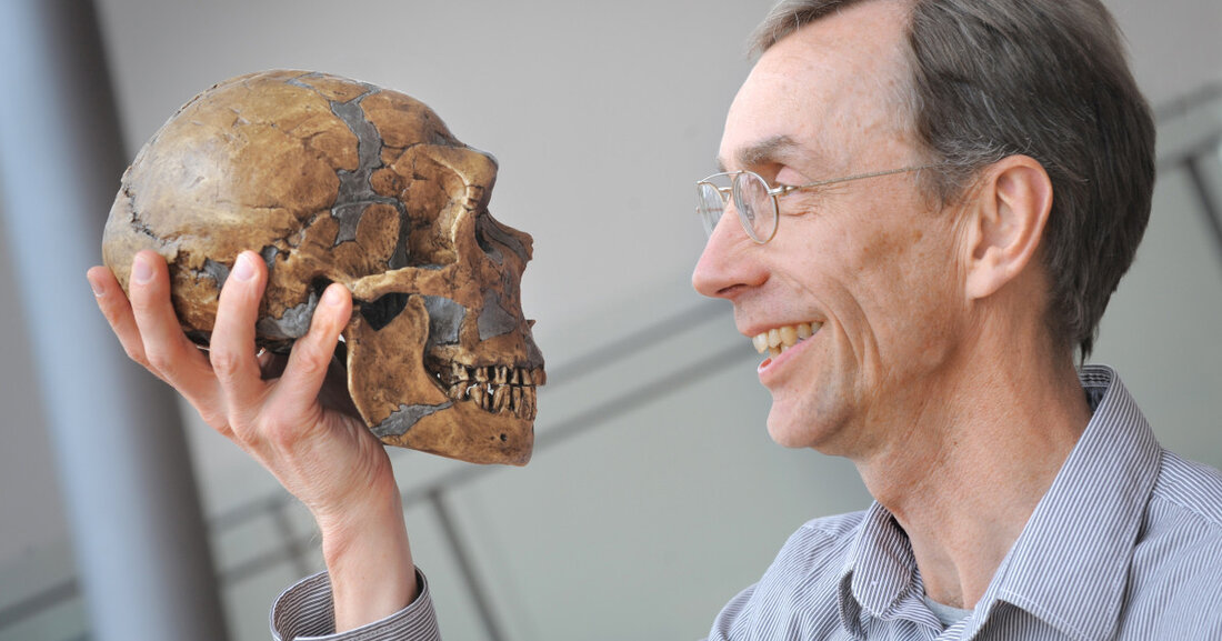 Nobelpreis 2022 für Leipziger Forscher Svante Pääbo Der Direktor am Max-Planck-Institut für evolutionäre Anthropologie in Leipzig wird für seine Pionierleistungen auf dem Gebiet der Paläogenetik ausgezeichnet, als deren Begründer er gilt. Prof. Dr. Svante Pääbo entschlüsselt mit seinem Team am Max-Planck-Institut für evolutionäre Anthropologie in Leipzig die Genome unserer Vorfahren. © Frank Vinken Der Nobelpreis für Physiologie oder Medizin geht in diesem Jahr an Svante Pääbo. Zu seinen bedeutendsten wissenschaftlichen Erfolgen zählt die Entschlüsselung des Neandertaler-Genoms. So hat Svante Pääbo zum Beispiel nachgewiesen, dass Neandertaler und andere ausgestorbene Hominiden einen wesentlichen Beitrag zur Abstammung der heutigen Menschen geleistet haben. Direktor &hellip;
