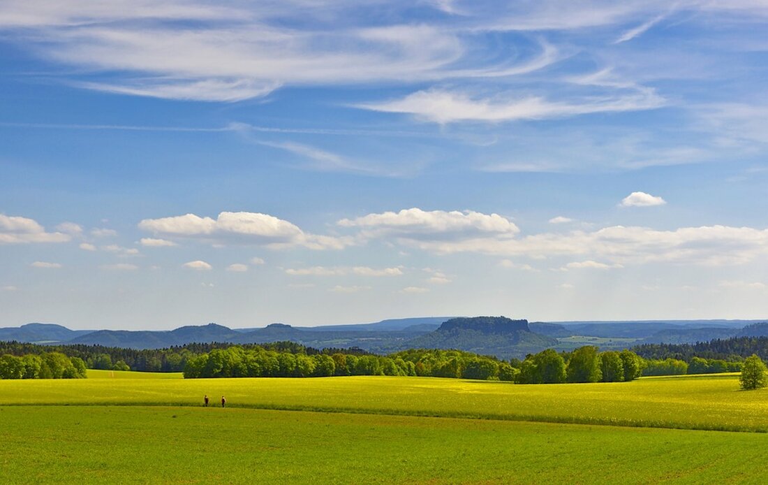 Oschatz plant die Umgestaltung eines Stadtteils Zwischen Häuserschluchten herrscht brütende Hitze, und Straßen stehen unter Wasser. Bei einer Schwammstadt gibt es das nicht. Deshalb will Oschatz jetzt einen Stadtteil umgestalten. Ein Modellvorhaben für zukünftige Klimaanpassung Die Stadt Oschatz plant, dem Klimawandel aktiv entgegenzuwirken. Wasserwirtschaftler Tilo Sahlbach, Oberbürgermeister (OBM) David Schmidt und Uwe Ferber von der Stadtland GmbH haben beim Projektwettbewerb Simul+ ihre Vision eines Modellvorhabens vorgestellt. Die Idee nennt sich „Oschatz-Blau-Grün“. Dabei steht „Blau“ für Wasser und „Grün“ für Pflanzen. Das Vorhaben soll der Stadt helfen, mit heftigen Hitzewellen und starken Regenfällen im urbanen Raum besser zurechtzukommen.
