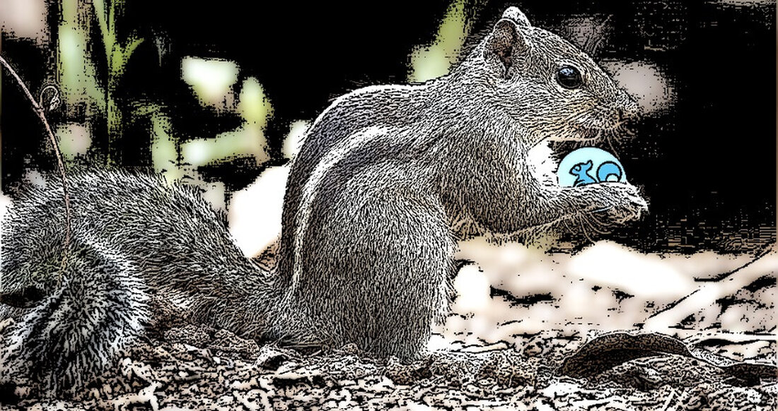 Peanut the Squirrel (PNUT) ist in den letzten 24 Stunden um mehr als 30 % gestiegen und hat sich aufgrund positiver Nachrichten von unter 1 US-Dollar erholt. Der Preis der PNUT-Meme-Münze bewegte sich am Mittwochnachmittag bei etwa 1,29 US-Dollar und stieg von einem Tiefststand von 0,98 US-Dollar. Die Bullen verzeichneten einen Wertanstieg auf ein Intraday-Hoch von 1,38 US-Dollar. Coinbase fügt PNUT zur Roadmap hinzu Der PNUT-Preis stieg am 11. Dezember um mehr als 30 %, nachdem die in den USA ansässige Krypto-Börse Coinbase die Aufnahme von Peanut the Squirrel in ihre Notierungs-Roadmap bekannt gab. Der auf Solana basierende Meme-Coin stieg …