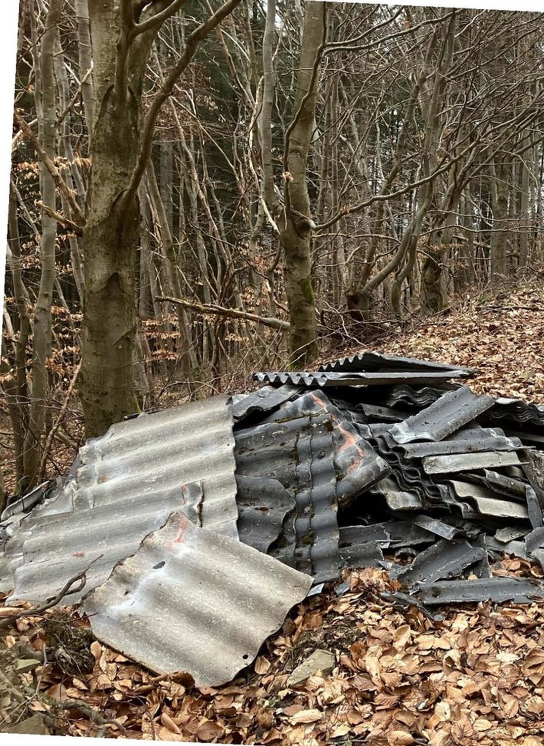 Unbekannte legen Eternitplatten ab, Zeuge mit Pfefferspray angegriffen, Ford beschädigt. Polizei sucht nach Hinweisen.