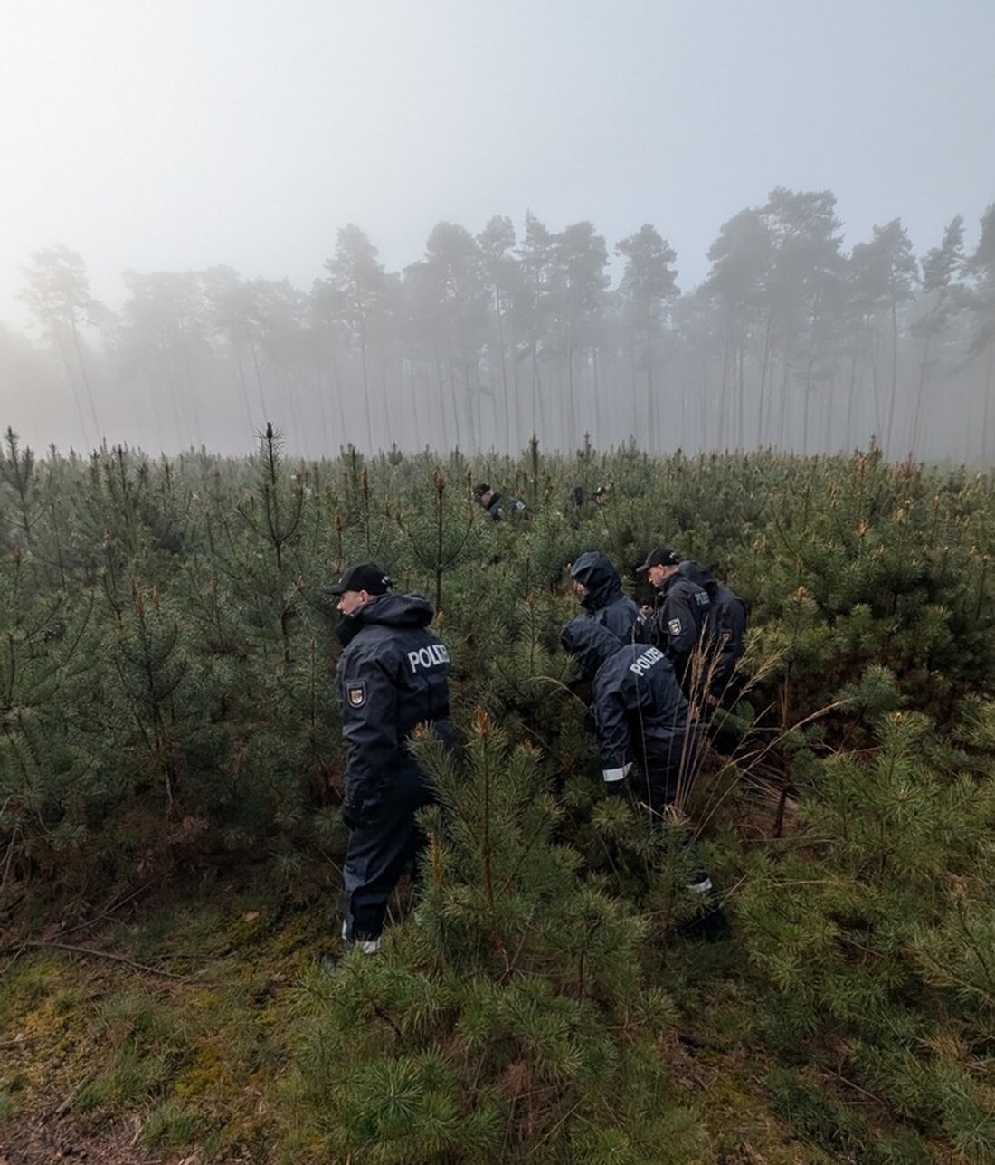 Polizei Rostock fand nach mehrtägiger Suche einen verlorenen Jagd-Revolver im Wald bei Lüblow. Sicherheit gewährleistet.