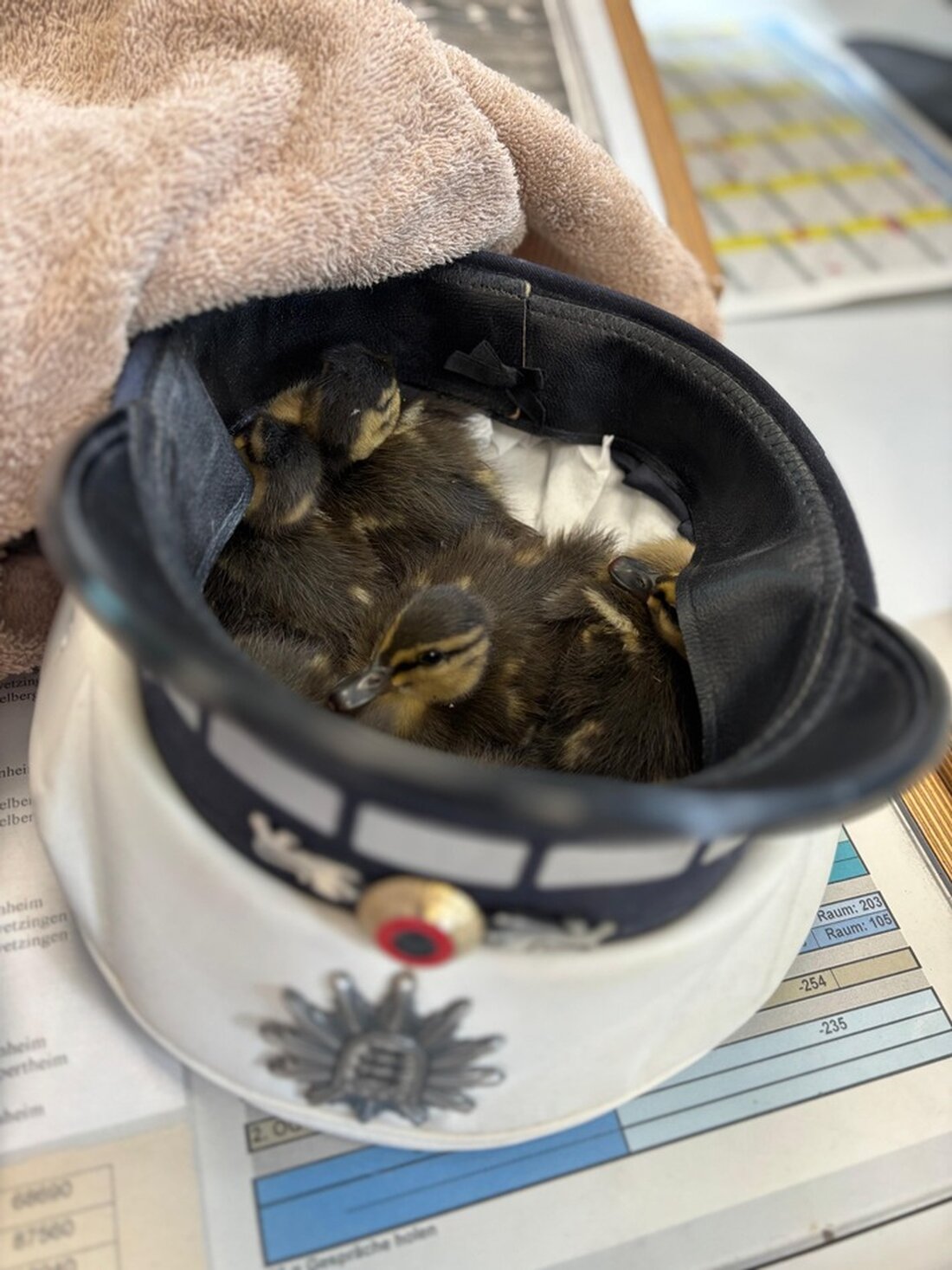 Polizei rettet Entenküken auf A5 bei Hemsbach: Beamte helfen verletzten Tieren und übergeben sie der Tierrettung.