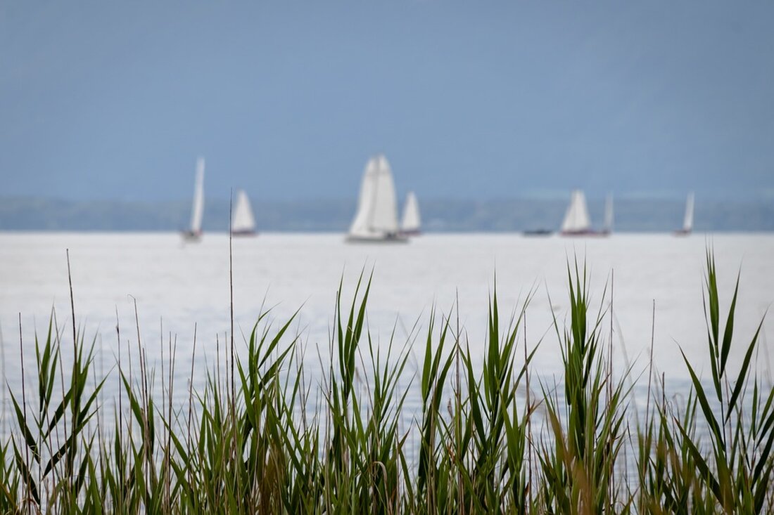 Erfahren Sie mehr über die erfolgreiche Regatta des Ruder-Club Tegelort e.V. am 28.09.2024 und die feierliche Übergabe der Sondermittel-Plakette durch Bezirksverordnetenvorsteherin Kerstin Köppen. Dank der Unterstützung der BVV Reinickendorf konnte ein neuer Bootstrailer für das Trainerboot angeschafft werden, um die Mobilität der Trainer zu erhöhen.