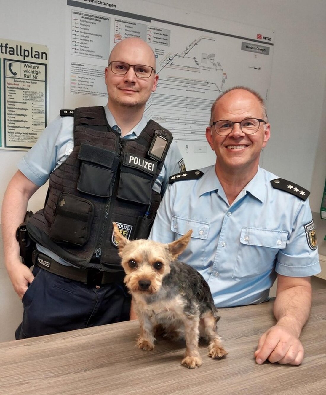 Am 30. April entdeckte die Bundespolizei in Weiden einen herrenlosen Hund. Dank schnellem Handeln fand "Rocky" seinen Besitzer wieder.