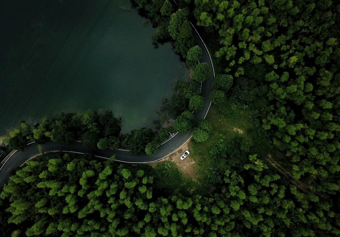 Erfahren Sie in unserer aktuellen Pressemitteilung, wie die Ruhlsdorfer Straße in Berlin durch innovative Umbauarbeiten die Baumbestände schützt und das Regenwassermanagement verbessert. Lesen Sie mehr über die Maßnahmen zur Erhaltung von Bäumen, die Entsiegelung von Flächen und die positiven Auswirkungen auf Klima und Umwelt.
