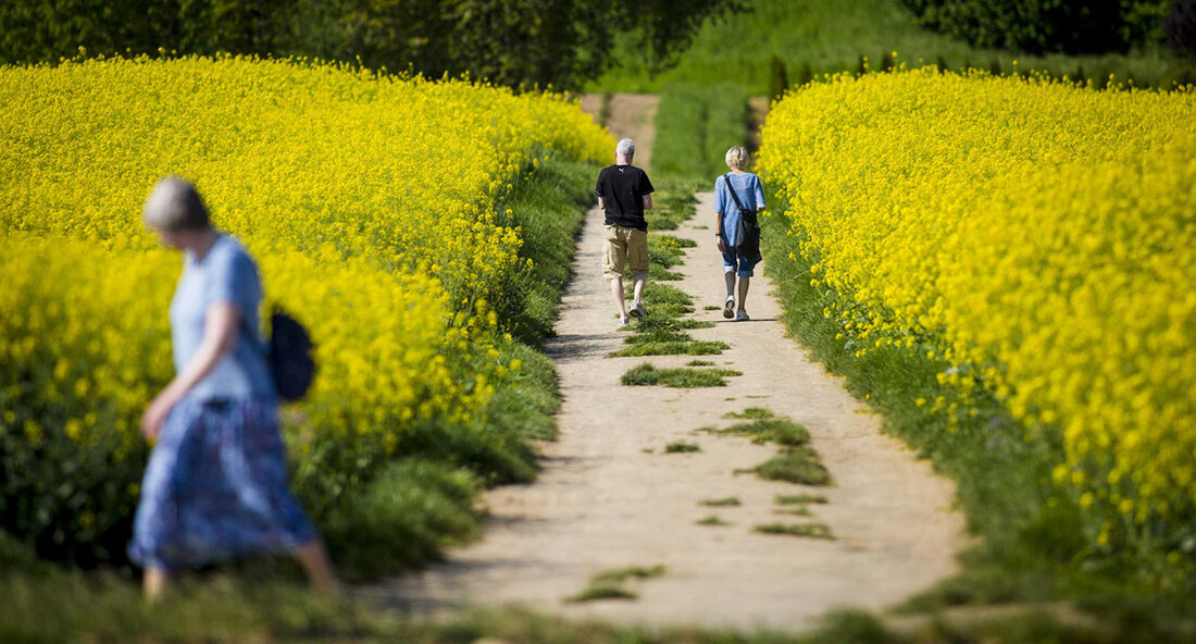 Mit der Genehmigung von 1,7 Millionen Euro können in Salach im Landkreis Göppingen wichtige Straßenbaumaßnahmen sowie Maßnahmen zum Naturschutz und Landschaftsmanagement umgesetzt werden. „Die Koordination der Planung bis zur Genehmigung des Straßen- und Wasserstraßenplans in den letzten Monaten war sicherlich sehr anspruchsvoll und intensiv. Ich freue mich daher, dass Sie diesen Meilenstein gemeistert haben und dass er bald umgesetzt wird „, sagte der Staatssekretär im Ministerium für ländliche Gebiete und Verbraucherschutz. Friedlinde Gurr-Hirschbei Übergabe von zwei Genehmigungshinweisen. Neben der Community der Teilnehmer an der Landkonsolidierungsverfahren Salach Im Bärenbachtal im Landkreis Göppingen erhält die Gemeinde Salach ebenfalls Zuschüsse. Naturschutz und Landschaftsmanagement …