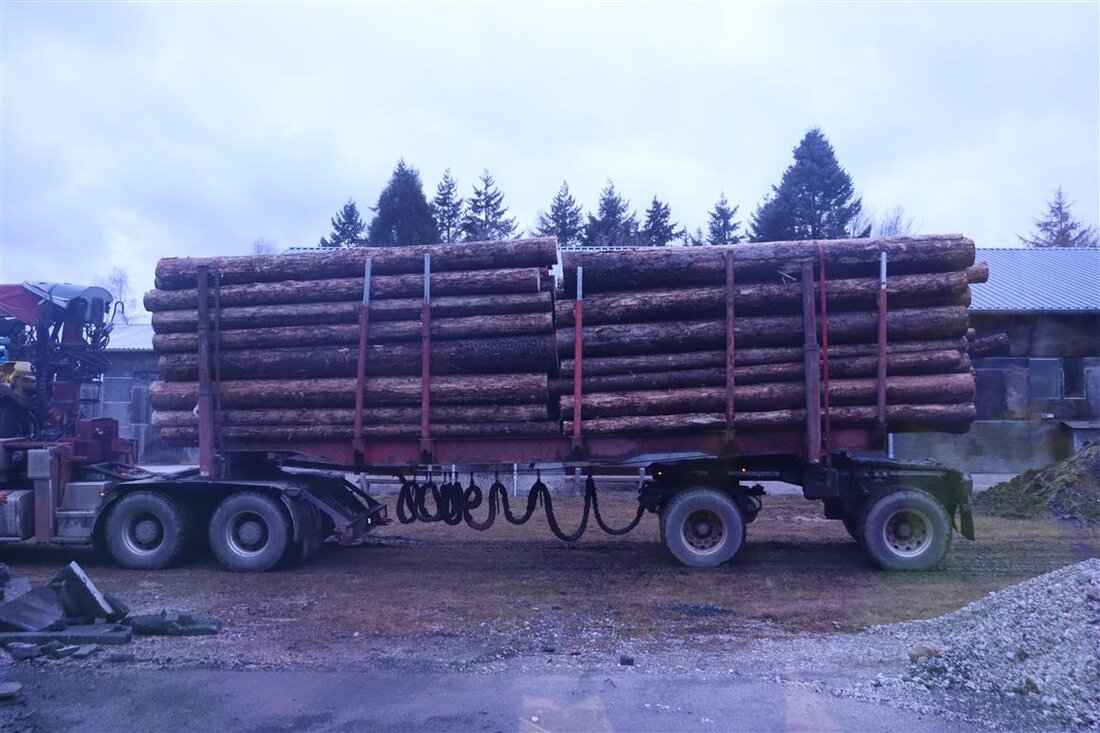 Beamte des Polizeipräsidiums Trier deckten bei Kontrollen zahlreiche Verstöße im Holztransport auf, einschließlich Überladung und Höhenübertretungen.