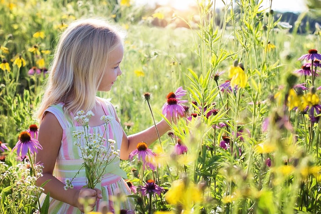 "Entdecken Sie die Ferienreisen für Kinder und Jugendliche im Sommer 2025! Das Jugendamt Pankow sucht anerkannte Träger für finanzielle Förderungen. Bewerben Sie sich bis zum 18. Oktober 2024 und erhalten Sie alle Informationen sowie das Anmeldeformular auf der Website des Jugendamts."