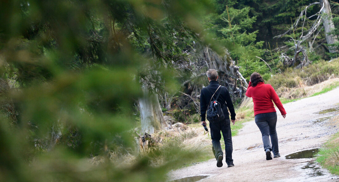Am Wochenende herrscht im ganzen Land eine hohe und teilweise sehr hohe Waldbrandgefahr. Es ist verboten, mitgebrachte Grills im Wald zu benutzen. Außerdem ist das Rauchen im Wald bis einschließlich Oktober verboten. „Die für die kommenden Tage angekündigten sommerlichen Temperaturen werden das verlassen Gefahr von Waldbränden im Land wird am Wochenende wieder deutlich steigen. All dieWald Besucher mit seiner kühlenden Wirkung sollten sich in diesen Tagen unbedingt an die üblichen Verhaltensregeln beim Besuch des Waldes halten“, so der Forstminister Peter Huk am 15. Juli 2022 in Stuttgart. „Eine achtlos weggeworfene Zigarettenkippe oder ein außer Kontrolle geratenes Grillfeuer können verheerende Folgen …