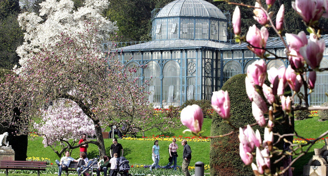 Ab nächsten Samstag sind die Denkmäler der Staatspaläste und Gärten sowie der Wilhelma und des Blooming Barcok bis Ende November vollständig geschlossen. Ab Samstag, den 31. Oktober sind die Denkmäler die Staatspaläste und Gärten (SSG) Baden-Württemberg zunächst bis Ende November komplett geschlossen. Dies gilt auch für sie Wilhelma in Stuttgart und so Blühender Barock in Ludwigsburg. Das Land übernimmt die Verantwortung, die Ausbreitung des Koronavirus so schnell und effektiv wie möglich einzudämmen, weshalb die Schließung am Wochenende und nicht zu Beginn der kommenden Woche erfolgen wird. Mit dem Blooming Baroque haben die Aktionäre – das Land und die Stadt Ludwigsburg …