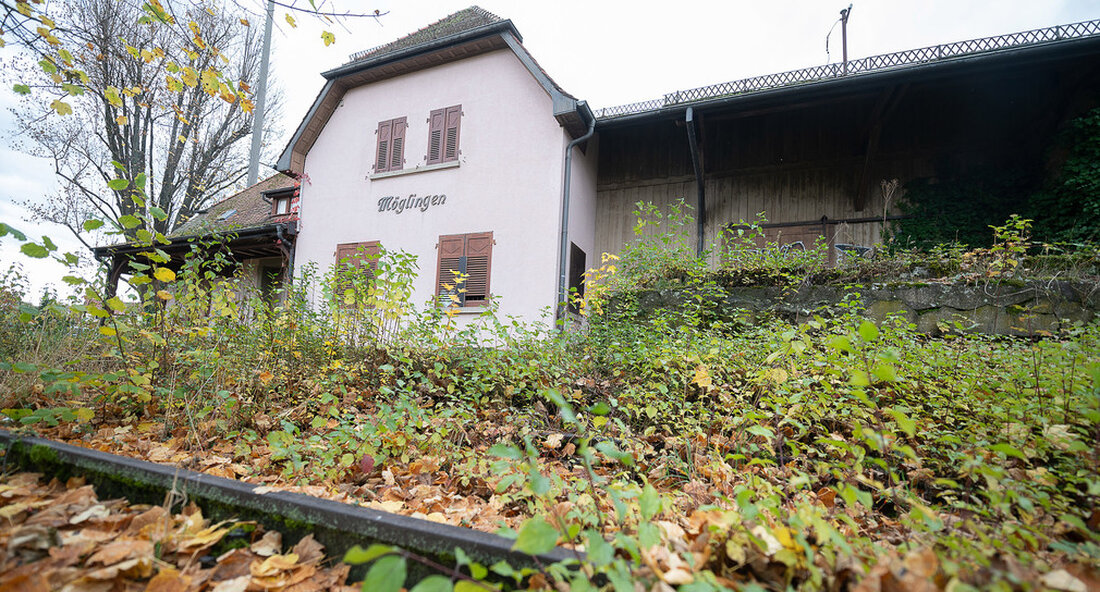 Für die Landesregierung ist die Wiederinbetriebnahme stillgelegter Bahnstrecken ein wichtiger Bestandteil der Verkehrsumkehr. Deshalb subventioniert der Staat bis zu 75 Prozent der Kosten für Machbarkeitsstudien zur Reaktivierung stillgelegter Eisenbahnstrecken. Der Staat wird künftig Machbarkeitsstudien zur Reaktivierung stillgelegter Eisenbahnstrecken durch attraktive Zuschüsse unterstützen. Dies gab Verkehrsminister Winfried Hermann am Montag bei einem virtuellen Treffen mit Vertretern aus ländlichen Gebieten, Kommunen, öffentlichen Verkehrsbehörden für den lokalen Schienenverkehr sowie Verkehrsverbänden und -verbänden. Eine solche Machbarkeitsstudie hat die Aufgabe, das Passagierpotenzial eingehender zu untersuchen und die erwarteten Investitions- und Betriebskosten zu ermitteln. Auf diese Weise sollen fundierte Entscheidungsgrundlagen für die Einbeziehung einer eingehenden Planung …