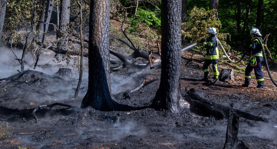 Minister Peter Hauk hat am langen Wochenende vor der zunehmenden Waldbrandgefahr gewarnt. Mitgebrachte Grills sind tabu, im Wald ist das Rauchen verboten. Außerdem appelliert Hauk, Reste nicht in den Wald zu werfen. „Unser Wald mit seinen Tieren und Pflanzen ist ein besonderer Lebensraum, den wir nur gemeinsam erhalten können. Damit das gut funktioniert, solltest du beim nächsten Waldbesuch ein paar Verhaltensregeln beachten. Die für die kommenden Tage angekündigten hochsommerlichen Temperaturen lassen die Waldbrandgefahr im Land am langen Wochenende noch einmal deutlich steigen. Wer in den nächsten Tagen den Wald zur Abkühlung und Entspannung aufsucht, sollte nur ausgewiesene Grillplätze nutzen. Offenes …