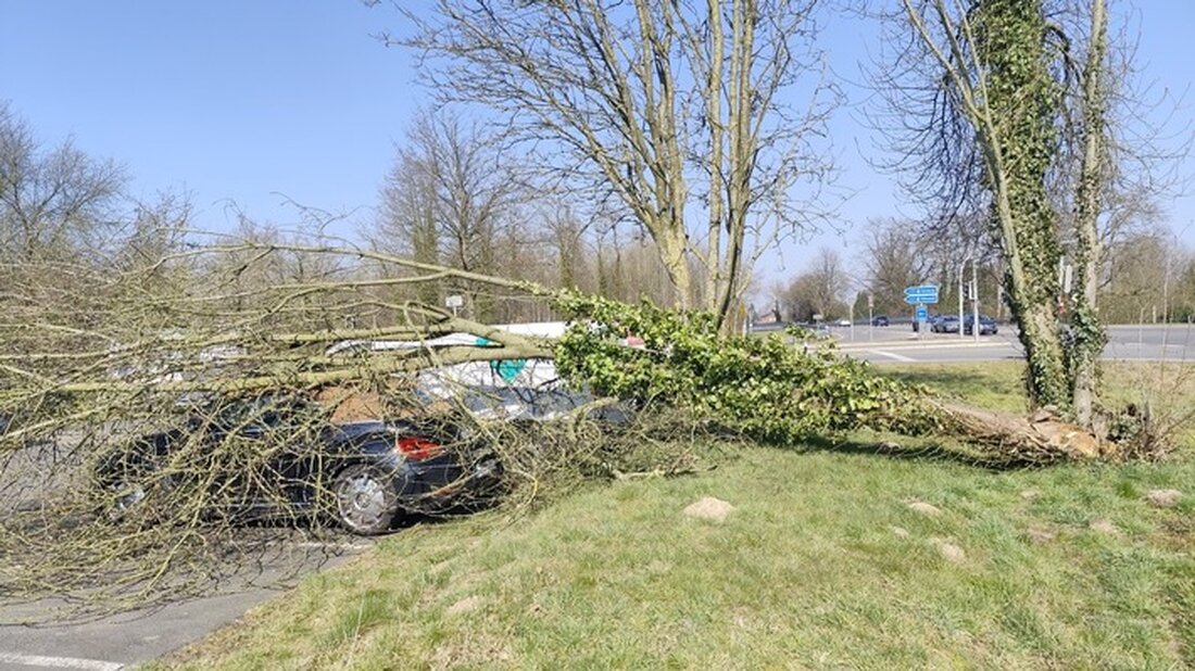 Pressemitteilung der Polizeiinspektion Harburg: Sturmschaden, Verkehrsunfälle und Alkoholkontrollen vom 21. bis 23. März 2025.