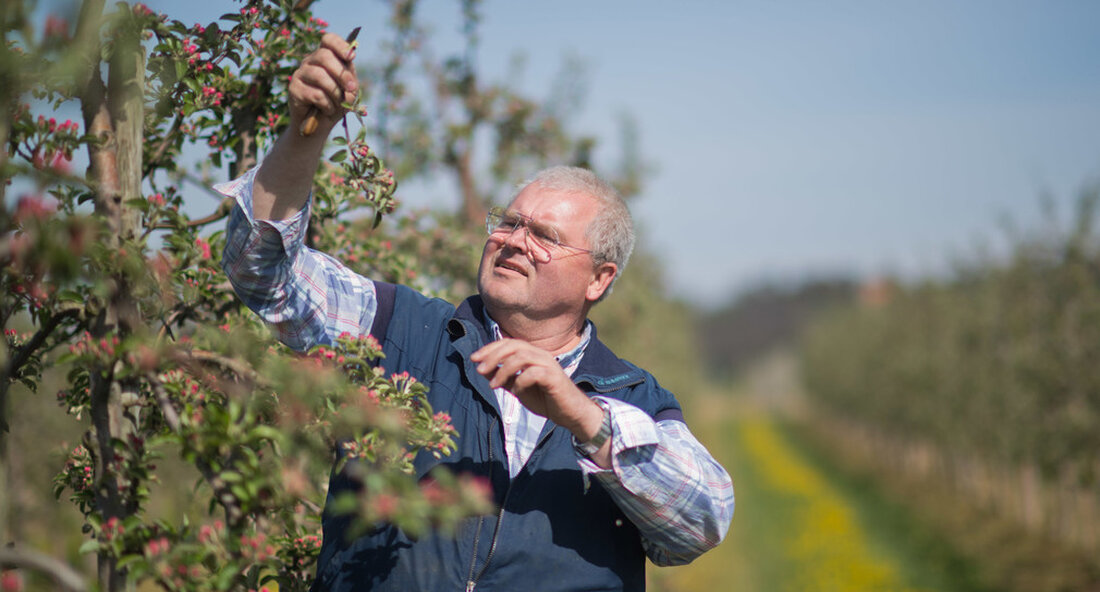 Vom 21. bis 23. Februar 2022 findet die 20. internationale ECOFRUIT-Konferenz statt. Themen sind unter anderem Impulse für den ökologischen Obstbau und der Aktionsplan „Bio aus Baden-Württemberg“. „Europa liegt mit Blick auf die Gemeinsame Agrarpolitik (GAP) in einer Phase der Neuorientierung. der Landwirtschaft moderner, krisenfester und diversifizierter werden soll. Umweltschutz und Klimaschutz sollen gestärkt werden. Demnach Biodiversitätsförderungsgesetz wir in Baden-Württemberg werden den Anteil erhöhen biologische Landwirtschaft im Land auf 30 bis 40 Prozent bis 2030. Der Bio-Obstbau leistet dazu einen wichtigen Beitrag“, sagte die Ministerin für Ernährung, Ländlichen Raum und Verbraucherschutz, Peter Hukzum Auftakt ECOFRUIT Konferenz 2022die online stattfindet. Vom …
