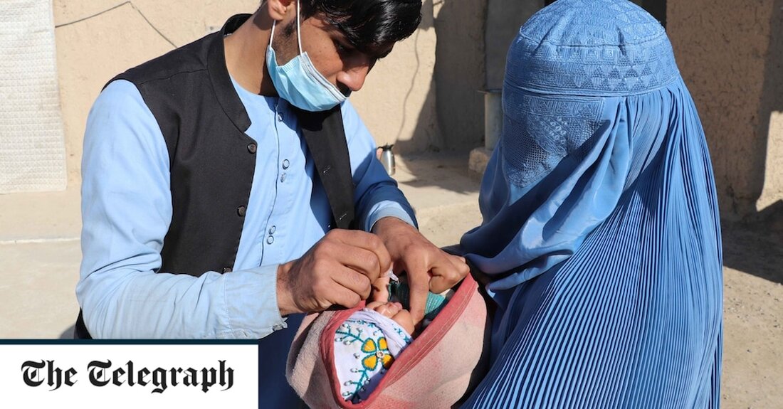 Acht Polio-Impfhelfer wurden an einem einzigen Tag in Afghanistan erschossen, was als der tödlichste Angriff auf die globale Ausrottungskampagne seit fast einem Jahrzehnt gilt. Die Vereinten Nationen verurteilten die Schießereien, die stattfanden, als Beamte gerade erst begonnen hatten, der Hoffnung Ausdruck zu verleihen, den Plan auszurotten Poliovirus in Afghanistan und Pakistan nach Jahren der Rückschläge und Frustration um die Ecke gekommen war. Die Vereinten Nationen sagten, es habe vier separate Angriffe gegeben, bei denen eine Person in der nördlichen Provinz Takhar und sieben im benachbarten Kundus getötet worden seien, darunter vier in der Provinzhauptstadt Kundus-Stadt. Alle Opfer machten entweder Hausbesuche, &hellip;
