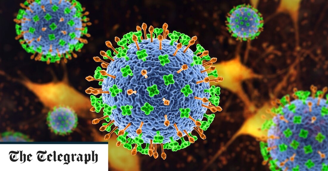 Die Menschen wurden aufgefordert, in Bangladesch keinen rohen Dattelsaft zu konsumieren, da Bedenken bestehen, dass das beliebte Getränk das Nipah-Virus verbreitet, eine tödliche Krankheit, die in den letzten 20 Jahren mehr als 70 Prozent der Infizierten getötet hat. Seit der erste Nachweis des Erregers in Bangladesch im Jahr 2001 ist das Land fast jährlich mit erneuten Schüben konfrontiert. Aber ohne zugelassene Impfstoffe oder Behandlungen ist die Überlebensrate düster: Laut einem neuen Bericht des Institute of Epidemiology Disease Control and Research (IEDCR) des Landes sind 231 der 330 bekannten Fälle gestorben. Die Analyse kommt, nachdem Bangladesch letzte Woche seinen ersten Nipah-Todesfall &hellip;