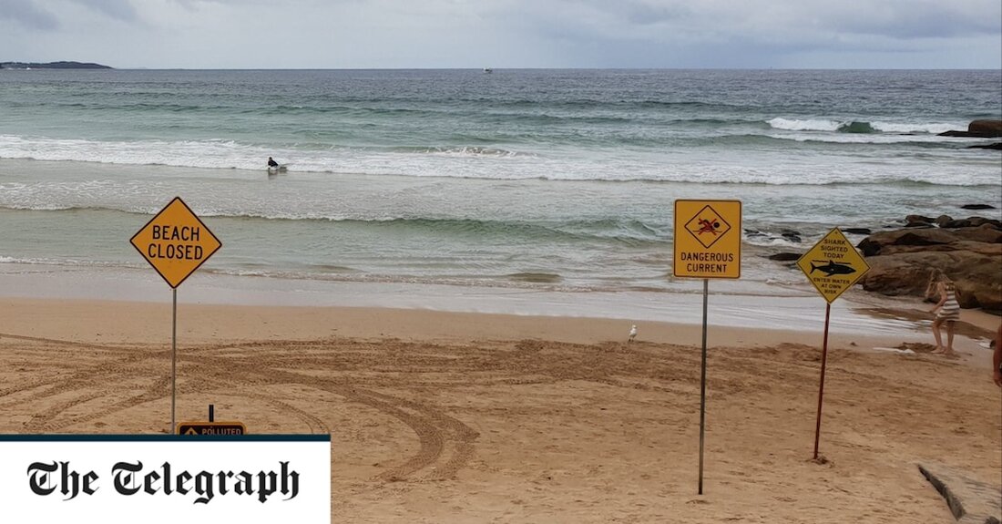 Der sintflutartige Regen, der einen Großteil der australischen Ostküste überschwemmt hat, hat eine neue Gefahr ausgelöst, bei der Schwimmer aufgefordert werden, sich wegen Haien aus dem Ozean fernzuhalten. Es folgt die Sichtung eines großen Hais vor Manly Beach, einem der berühmtesten Badeorte Sydneys. Augenzeugen sagten, es sei mehr als 3 Fuß lang und „möglicherweise ein Great White“, berichtete der Manly Observer. „Trübes, nährstoffreiches Wasser aus dem Regenwasserabfluss hat das Gebiet für Raubtiere besonders einladend gemacht“, fügte er hinzu. Die Nachricht von der Sichtung löste eine Warnung des Gemeinderats aus, in der die Schwimmer auf die potenzielle Gefahr aufmerksam gemacht wurden. &hellip;