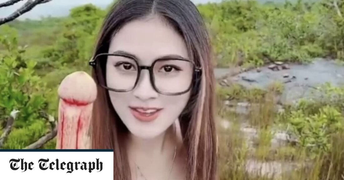 Ihr Titter-Potenzial ist unbestreitbar. Aber die bemerkenswerte Ähnlichkeit einer Dschungelpflanze mit männlichen Genitalien könnte sich als ihr Untergang erweisen. Ein Social-Media-Video einer Gruppe junger Frauen, die kichernd mit sogenannten „fleischfressenden Penispflanzen“ im Hochland von Kambodscha umgehen, hat Naturschützer alarmiert. Mit ihrem röhrenförmigen Schaft und dem glockenförmigen Ende wurden die phallisch aussehenden Pflanzen an den Hängen des Bokor-Berges von den Frauen gepflückt und als unterhaltsame Selfie-Requisite verwendet. Experten haben jedoch gewarnt, dass die ungewöhnliche Art namens Nepenthes bokorensis dem Untergang geweiht sein könnte, wenn mehr Menschen ihrem Beispiel folgen. „Pflücken Sie die Blumen nicht, sonst werden sie ruiniert“, sagte das kambodschanische &hellip;