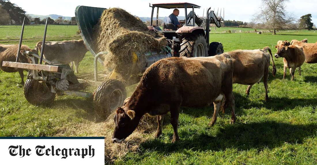 Kuh- und Schafsrülpser sollen von Neuseeland in einem weltweit ersten Planentwurf besteuert werden, um einen Preis für landwirtschaftliche Emissionen zu erheben, um eine der größten Quellen von Treibhausgasen des Landes zu bekämpfen. Der Vorschlag würde Neuseeland, einen großen Agrarexporteur, zum ersten Land machen, in dem Landwirte für Emissionen aus der Viehhaltung zahlen müssten, sagte das Umweltministerium. Neuseeland, Heimat von 5 Millionen Menschen, hat etwa 10 Millionen Rinder und 26 Millionen Schafe. Fast die Hälfte der gesamten Treibhausgasemissionen stammen aus der Landwirtschaft, hauptsächlich Methan, aber landwirtschaftliche Emissionen wurden zuvor vom Emissionshandelssystem des Landes ausgenommen, was Kritik an der Verpflichtung der Regierung &hellip;